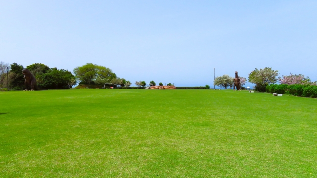 庭に芝生を敷きたい場合、どの種類の芝生がいいですか?