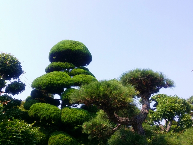 年間管理　出雲市