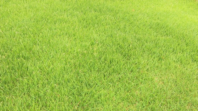 芝生管理　出雲市